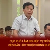 Cục phó Lâm nghiệp: Vị trí sạt lở đèo Bảo Lộc thuộc rừng phòng hộ