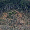 Tổ chức Hiệp ước Hợp tác Amazon lần đầu xây dựng chính sách chung
