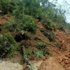 Tập trung khắc phục thiệt hại do sạt lở đất ở nhiều địa phương