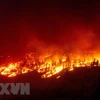 Diện tích đám cháy rừng tồi tệ nhất châu Âu lớn hơn cả New York