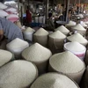 Thị trường nông sản thế giới: Giá gạo ở các vựa lúa gạo tiếp tục giảm