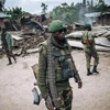 Liên hợp quốc hỗ trợ quân đội CHDC Congo chống phiến quân