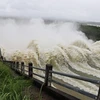 Ba hồ thủy điện ở Bình Phước xả tràn bảo đảm an toàn hồ chứa