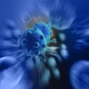 Phát hiện mới về cách tế bào ung thư chống lại các hóa trị liệu