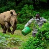 Tê giác tấn công một nhân viên vườn thú. (Nguồn: Reuters)