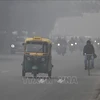 Khói mù ô nhiễm bao phủ bầu trời tại New Delhi, Ấn Độ. (Ảnh: AFP/TTXVN)