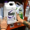 Thuốc diệt cỏ Roundup được bày bán tại cửa hàng ở San Rafael, California, Mỹ. Ảnh: AFP/TTXVN 