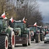 Nông dân Ba Lan biểu tình phản đối ngũ cốc của Ukraine ngày 20/2. (Ảnh: PAP/TTXVN)