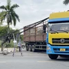 Xe tải vướng vào dây điện đường Nguyễn Văn Linh, phường Trương Quang Trọng làm đổ 4 trụ điện. (Ảnh: Phạm Cường/TTXVN)