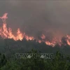 Cháy rừng ở Tây Ban Nha. (Nguồn: AFP/TTXVN)