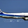 Máy bay của hãng hàng không ANA. (Ảnh tư liệu: Kyodo/TTXVN)