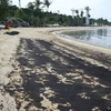 Dầu loang trên bãi biển Siloso ở đảo Sentosa, Singapore, ngày 15/6/2024. (Ảnh: THX/TTXVN)