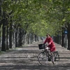 Người dân dạo chơi tại công viên Prater ở Vienna, Áo. (Ảnh: AFP/TTXVN)