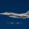 Máy bay tiêm kích F-16. (Ảnh tư liệu: AFP/TTXVN) 