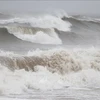 Chủ động ứng phó với gió mạnh, sóng lớn và mưa dông trên biển. (Ảnh minh họa: TTXVN)