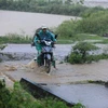 Mưa lớn gây ngập cầu trên đường xã Sủi Ngòi phường Quỳnh Lâm, thành phố Hòa Bình. (Ảnh: Trọng Đạt/TTXVN)