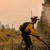 Lính cứu hỏa nỗ lực dập lửa cháy rừng. (Ảnh minh họa: THX/TTXVN) 