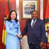 Phó Chủ tịch nước Võ Thị Ánh Xuân hội kiến Tổng thống Mozambique Filipe Nyusi trong chuyến thăm chính thức Cộng hoà Mozambique, sáng 12/9/2023. (Ảnh: Lâm Khánh/TTXVN)