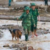 Lực lượng quân đội triển khai tìm kiếm các nạn nhân mất tích do sạt lở đất tại làng Nủ, xã Phúc Khánh, huyện Bảo Yên. (Ảnh: Dương Giang/TTXVN)