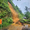 Lãnh đạo huyện Bù Đăng kiểm tra khu vực đồi bị sạt lở ở thị trấn Đức Phong. (Ảnh: TTXVN phát)