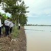 Nhiều diện tích lúa bị ngập sâu sau cơn mưa lớn kéo dài trên địa bàn tỉnh Bạc Liêu, ngày 2/11. (Ảnh: Chanh Đa/TTXVN) 