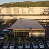 Nhà máy của công ty Tesla tại Fremont, California, Mỹ. (Ảnh: AFP/TTXVN) 