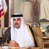 Quốc vương Qatar Sheikh Tamim bin Hamad Al-Thani. (Nguồn: english.aawsat.com)