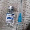 Serbia và Argentina đã bắt đầu sản xuất vaccine Sputnik V của Nga. (Nguồn: reuters.com)