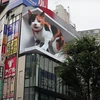 Chú mèo Shinjuku. (Nguồn: kotaku.com)