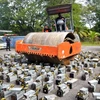 Cảnh sát Malaysia tiêu hủy các máy "đào" tiền điện tử trong đường dây trộm điện. (Nguồn: straitstimes.com)