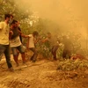 Người dân vượt một con dốc khi đám cháy rừng bùng lên ở làng Gouves, trên đảo Evia (Hy Lạp), ngày 8/8/2021. (Nguồn: reuters.com)