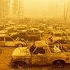Xe ôtô bị phá hủy trong đám cháy rừng tại Greenville, California (Mỹ), ngày 6/8/2021. (Ảnh: AFP/TTXVN)