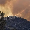 Khói bốc lên từ các đám cháy rừng tại Kabylia (Algeria), ngày 10/8/2021. (Ảnh: AFP/TTXVN)