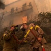 Nhân viên cứu hỏa nỗ lực khống chế các đám cháy rừng trên đảo Evia (Hy Lạp), ngày 8/8/2021. (Ảnh: THX/TTXVN)