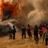 Lực lượng cứu hỏa nỗ lực khống chế đám cháy rừng tại Afidnes (Hy Lạp), ngày 6/8/2021. (Ảnh: THX/TTXVN)