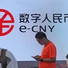 Đồng e-CNY được quảng bá tại một hội chợ ở Đại Liên, tỉnh Liêu Ninh (Trung Quốc). (Nguồn: global.chinadaily.com.cn)