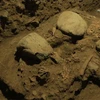 Các nhà khảo cổ phát hiện bộ hài cốt ở một hang động đá vôi tại tỉnh Nam Sulawesi (Indonesia) vào năm 2015. (Nguồn: taylordailypress.net)