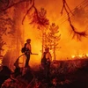 Lính cứu hỏa nỗ lực dập lửa tại đám cháy Caldor ở Twin Bridges, bang California (Mỹ), ngày 29/8/2021. (Ảnh: AFP/TTXVN)