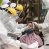 Nhân viên y tế lấy mẫu xét nghiệm COVID-19 cho người dân tại Yogyakarta (Indonesia), ngày 4/8/2021. (Ảnh: THX/TTXVN)
