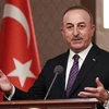 Ngoại trưởng Thổ Nhĩ Kỳ Mevlut Cavusoglu phát biểu trong cuộc họp báo tại Ankara, ngày 15/4/2021. (Ảnh: AFP/TTXVN)