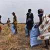 Người dân nhận thực phẩm cứu trợ tại Ayod (Nam Sudan), ngày 6/2/2020. (Ảnh: AFP/TTXVN)