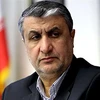 Ông Mohammad Eslami, người đứng đầu Tổ chức Năng lượng Nguyên tử của Iran tại một cuộc họp ở Tehran. (Ảnh: AFP/TTXVN)