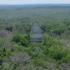 Thành phố Tikal thuộc nền văn minh Maya cổ đại là một trong những địa điểm khảo cổ được được nghiên cứu kỹ lưỡng nhất trên thế giới. (Nguồn: brown.edu)