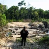 Một người bản địa thuộc bộ tộc Kayapo quan sát cảnh tàn phá do lâm tặc để lại ở vùng đất Menkragnoti (Brazil). (Nguồn: aljazeera.com)
