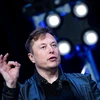 CEO Elon Musk khẳng định doanh thu của Tesla đang tăng trưởng mạnh. (Ảnh: AFP/TTXVN)