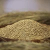 Xuất khẩu gạo của Thái Lan dự kiến sẽ tiếp tục tăng trong quý 4/2021, với hơn 700.000 tấn mỗi tháng. (Nguồn: bangkokpost.com)