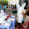 Thực hiện khai báo y tế và lấy mẫu xét nghiệm COVID-19 cho người lao động và ngư dân tại khu vực cảng cá Phan Thiết (Bình Thuận). (Ảnh: Nguyễn Thanh/TTXVN)