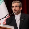 Nhà đàm phán hạt nhân hàng đầu của Iran, ông Ali Bagheri Kani. (Ảnh: IRNA/TTXVN)