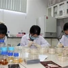 Hoạt động tại Phòng Công nghệ sinh học Trung tâm Nghiên cứu triển khai Khu Công nghệ cao Thành phố Hồ Chí Minh. (Ảnh: Tiến Lực/TTXVN)