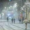 Tuyết rơi trên đường phố Jaffa ở Jerusalem (Israel), ngày 26/1/2022. (Nguồn: timesofisrael.com)